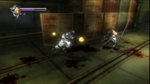 Прохождение Ninja Gaiden Sigma (PS3) с комментариями #3