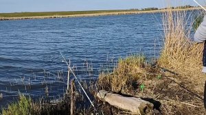 думал мелочь, а там...