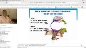 Вопросы гинекологии. Ведущий - врач-гинеколог Андреев Сергей