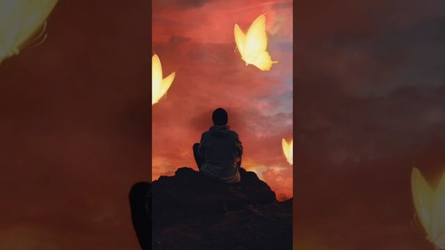 Speed art #vibes#photoshop#4kfullscreenstatus #butterfly#sky