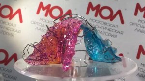 Пластинка Шварца (Schwarz) с секторальным распилом