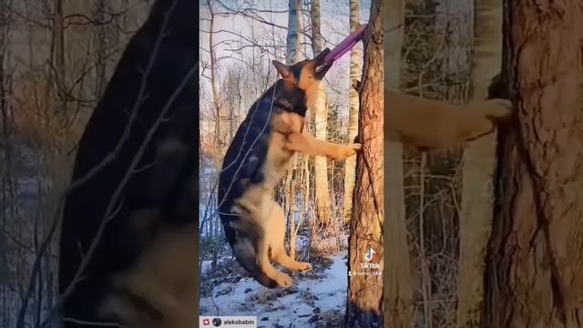 Ребята прикиньте тут есть радио откуда