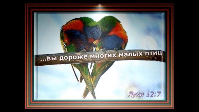 Заповеди блаженства. МСЦ ЕХБ. Читает Валерия Шикина.