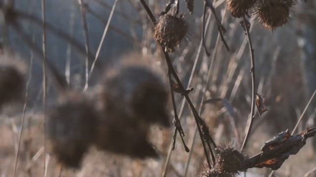 тест камеры Lumix DC-FZ82 + Gimbal Feiyu Tech a1000 смотреть онлайн