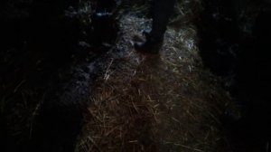 Как работает редуктор нии11 12.