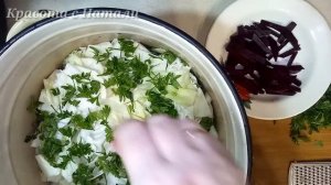 КАПУСТА на все случаи жизни. Как ВКУСНО ЗАСОЛИТЬ капусту.