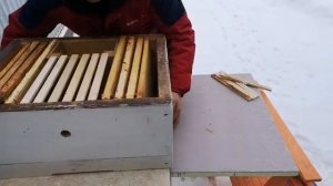 Японский улий для начинающих, как начать пчеловождение.