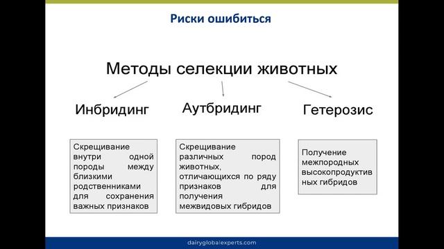 Организация воспроизводства стада КРС, как залог успешности мясного бизнеса