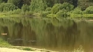 ООПТ Томской области.mp4