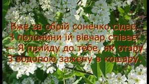 УКРАЇНСЬКА ПІСНЯ ЧЕРЕМШИНА - КАРАОКЕ ПОД БАЯН текст в описании