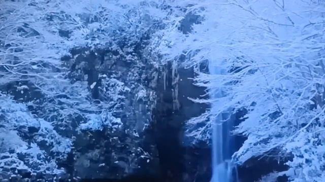 Слово Божье! смотреть онлайн