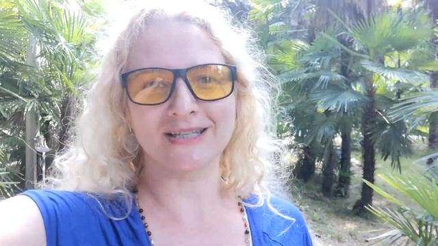 Яндекс Дзен очень удивил! Что с ним происходит!?