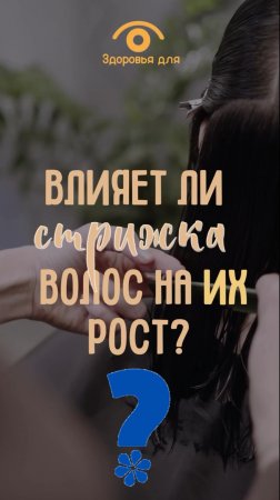 Влияет ли стрижка волос на их рост?