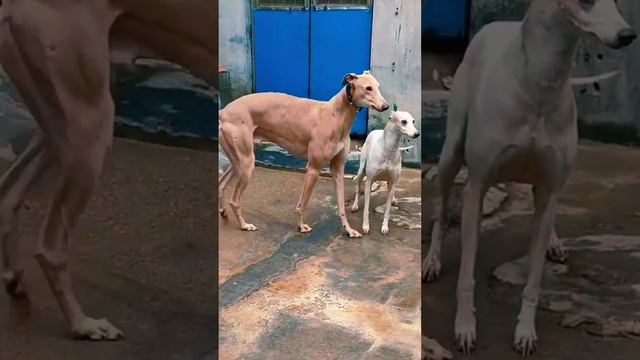 Build life partner wiehout boundaries 432 смотреть онлайн