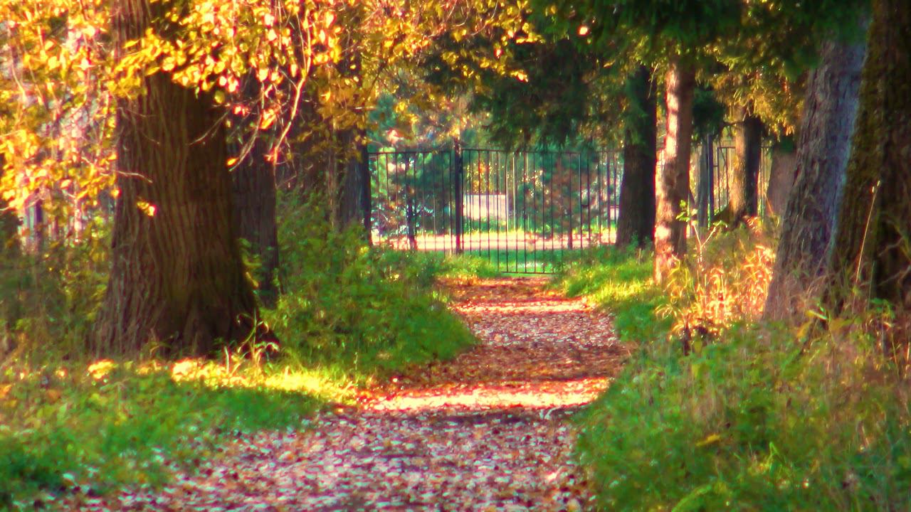 Петровский парк