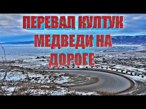 ПЕРЕВАЛ КУЛТУК | МЕДВЕДЬ ЗА 65ТЫСЯЧ РУБЛЕЙ