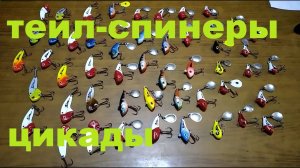 Винегрет из МАСТЕРСКОЙ! Теил - Спинеры, Цикады.