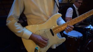 белые розы кавер