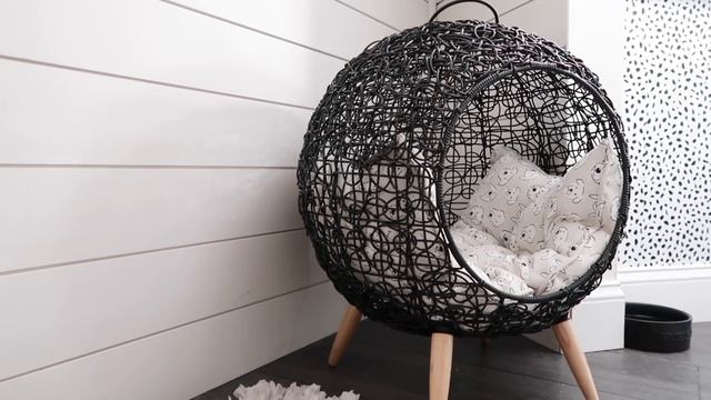 Pet Room Tour