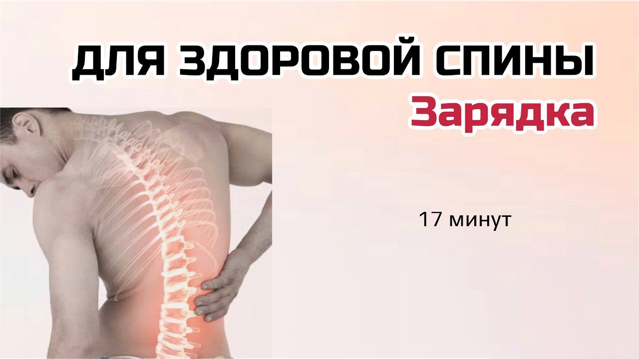 Тренировка для здоровой спины, зарядка для гибкости позвоночника. Упражнения от болей в спине.