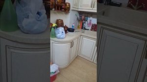Отзыв о Мебель Молчанов.(Эксклюзивная кухня с инициалами клиентов)