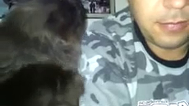 Демонический кот ласкается