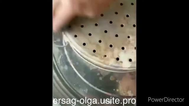 Антижир и Дамла от турецкой компании ERSAG смотреть онлайн