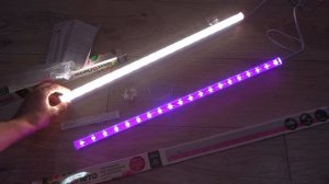 Фитолампы ФитоЛето для рассады