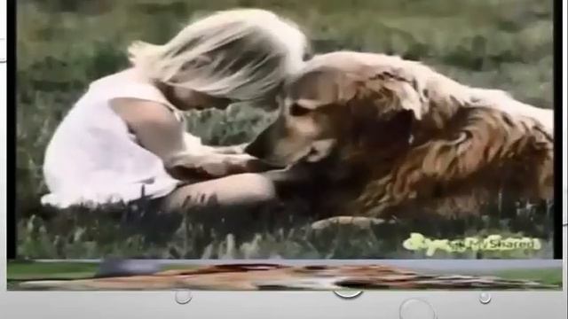 Земля - наш общий дом смотреть онлайн