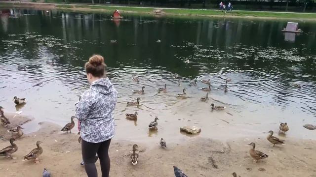 Ручная утка смотреть онлайн