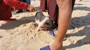 Барри Бутик, идём на море. Дадунхай, Санья