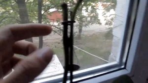 Орхидея  СИНГОЛО(Singolo) //  Домашнее цветение