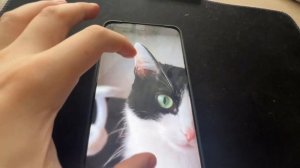 Обзор realme gt neo 5 (глобальная прошивка)