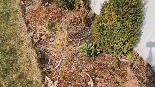 Using the Tractor to Till My Field + Early Spring Garden Tour | Gardening with Wyse Guide смотреть онлайн