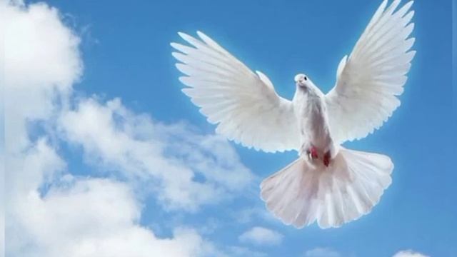 День рождения голубого берета/26 июля/ ВДВ: "Никто кроме нас! " смотреть онлайн