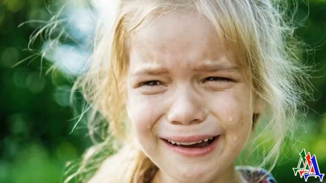 СПАСИТЕ БУБЛИКА 2. «Бублик, не умирай!» - Растерзанный пёс весь в крови лежал в пыли и тяжело дыша смотреть онлайн