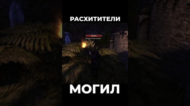 Хроники Миртаны: Архолос ➤ Расхитители могил #shorts #gothic2 #готика2 #архолос #archolos