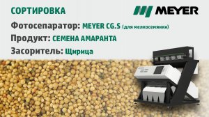 Сортировка амаранта на фотосепараторе MEYER