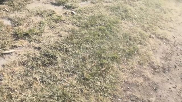 Коп ЖД рельс смотреть онлайн