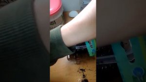 Посев семян Колеус Блюме. Мини тепличка для посевов.