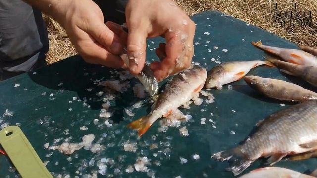 ЛУЧШИЙ НОЖ ДЛЯ ЧИСТКИ РЫБЫ. ОБЗОР СПЕЦСРЕДСТВ. смотреть онлайн