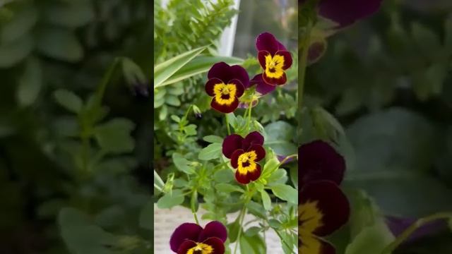 10 октября 2021 г. смотреть онлайн