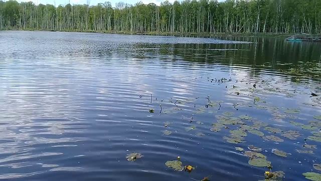 Озеро Щучье. Одно из пяти таинственных озёр.