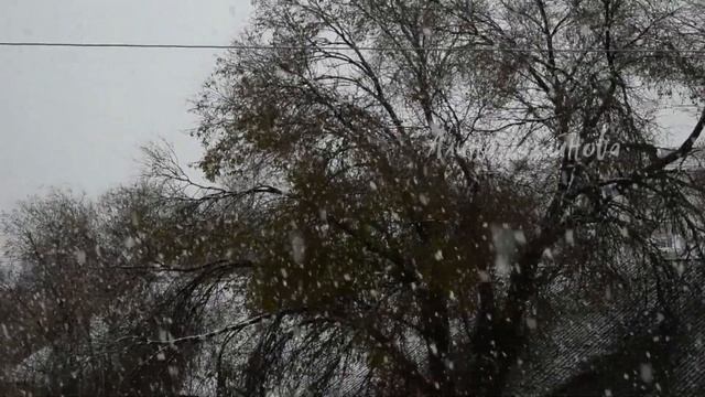 Поздравляю вас с последним днём зимы! смотреть онлайн