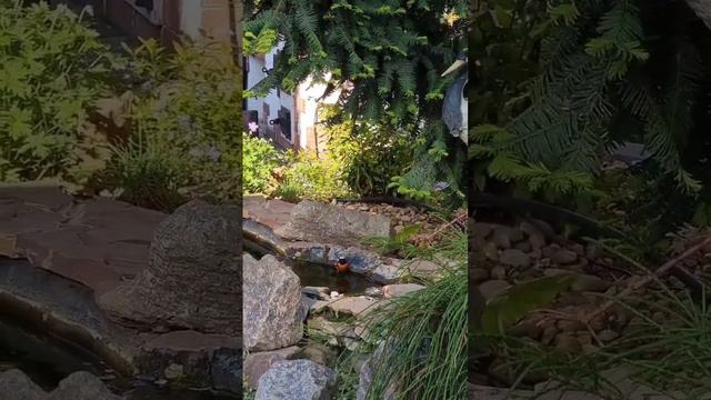 Як вас звати, гості?#shots смотреть онлайн