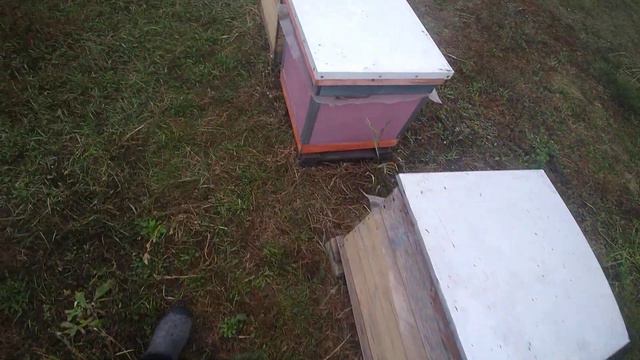 крышка на улей на какой остановился для себя смотреть онлайн