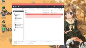 Как установить доп.материалы для Sims 3 в формате Package