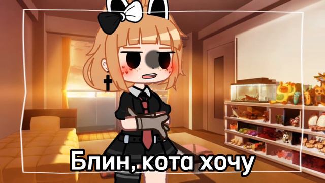 Котика хочу идея из ТТ