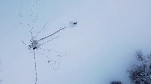 Тренировка тульских авиамоделистов, кордовые пилотажные модели, сьемка с Dji mini se