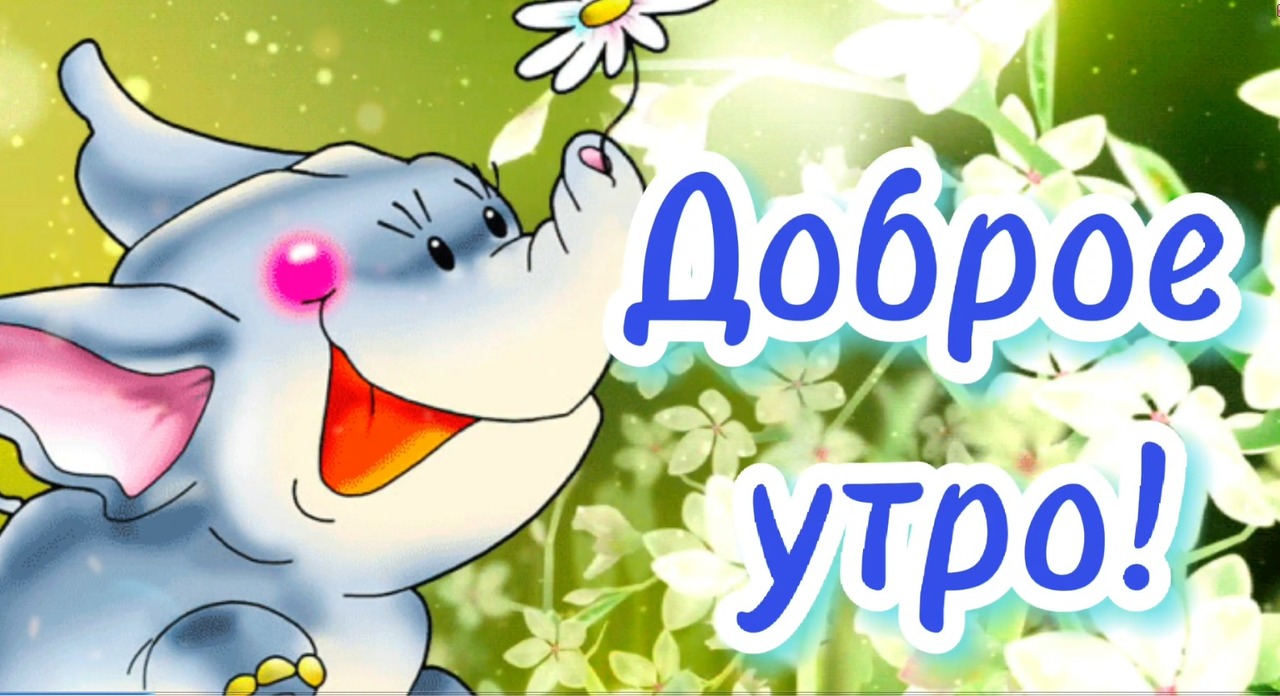 Доброе Утро! Хорошего Дня и отличного настроения!